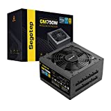 Segotep 750W Power Supply, 80 Plus Gold Full Modular PCIe 5.0 & ATX 3.0 Gaming PSU for NVIDIA RTX 20/30/40 Series & AMD GPU,...
