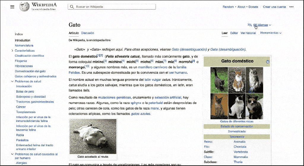 Cambiar idioma Wikipeadia